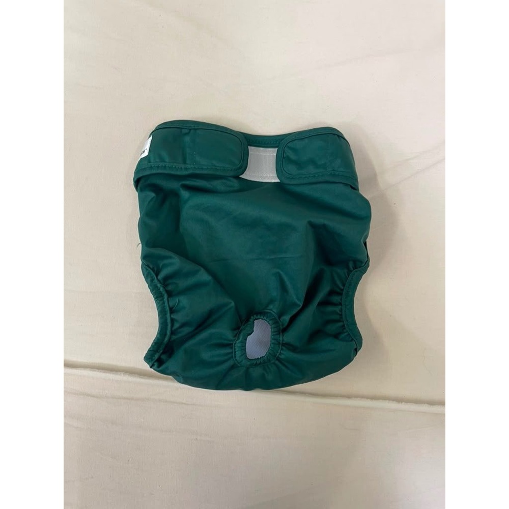 Pet Parents Washable Dog Diaper Green Reusable Large